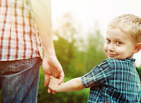 Child Custody Investigator