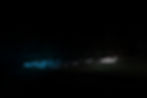 zèbres de nuit