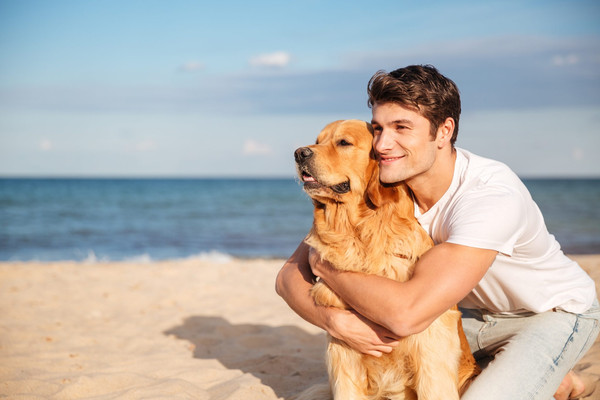 Viajar con Nuestros Amigos Peludos