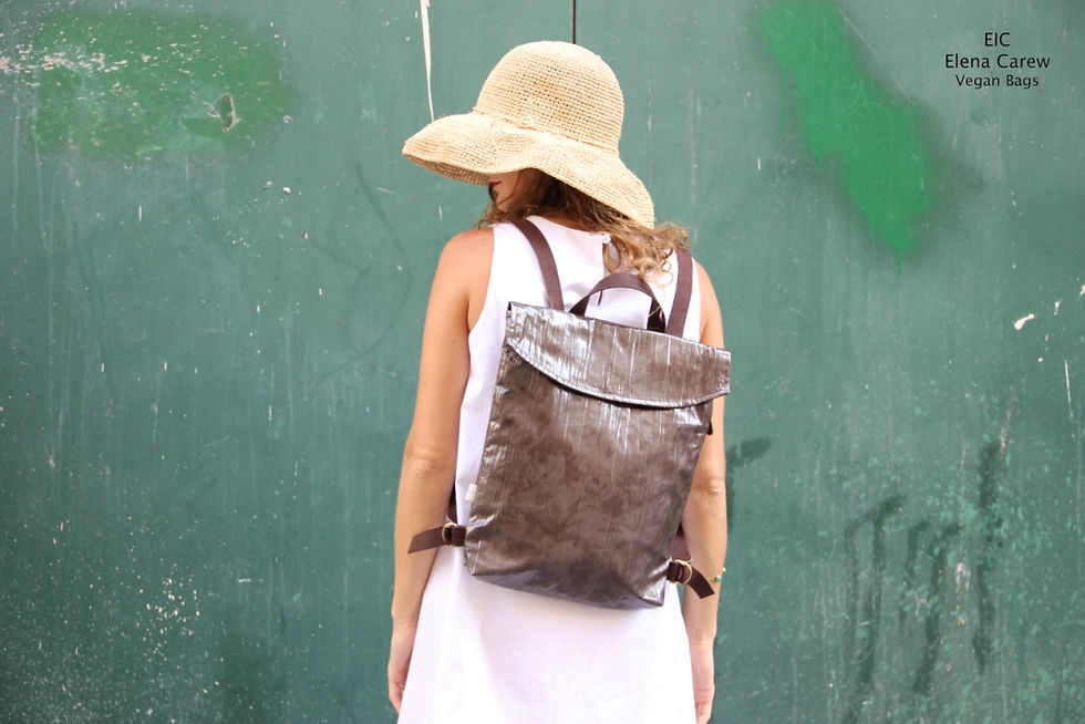 תמונה ממוזערת: תיק גב זהב נגה