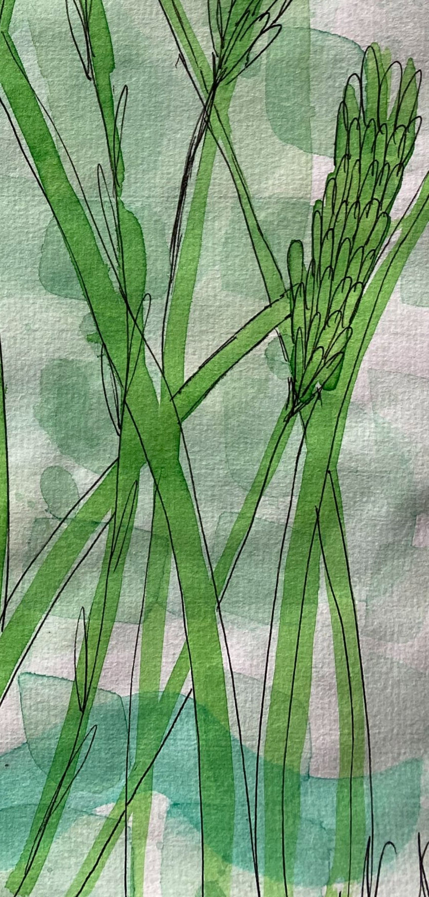 Miniaturbild: Green