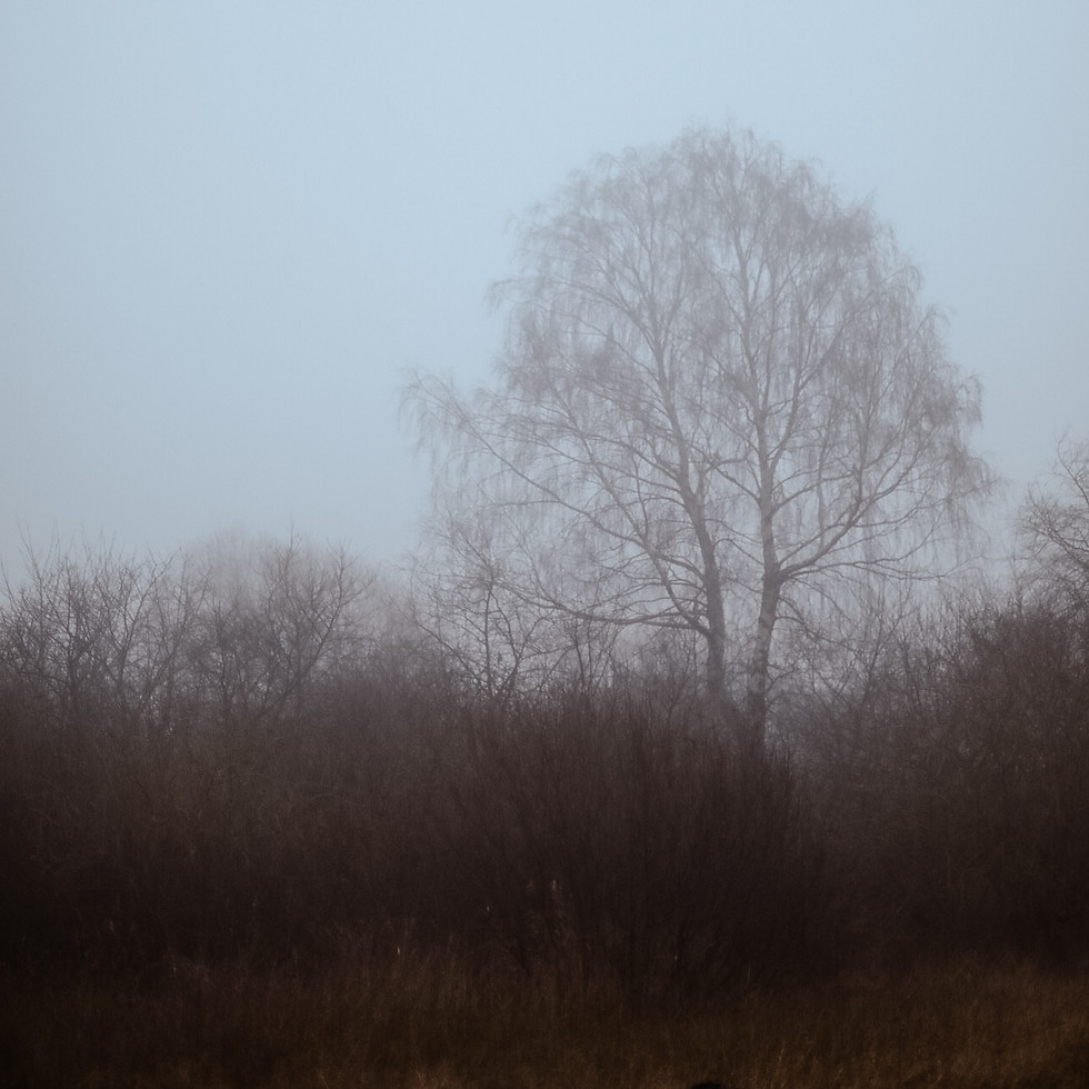 psycholog kraków.jpg
