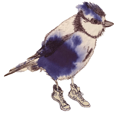 Animation_Rami_Blauer_Spiegel.gif