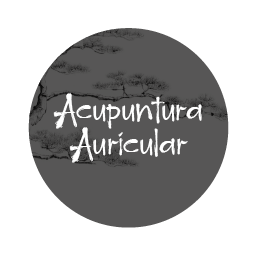 Acupuntura Auricular