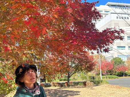 映子のがん検診