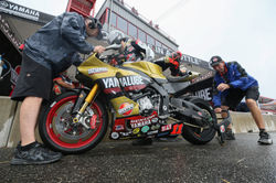 Photo by Brian J. Nelson