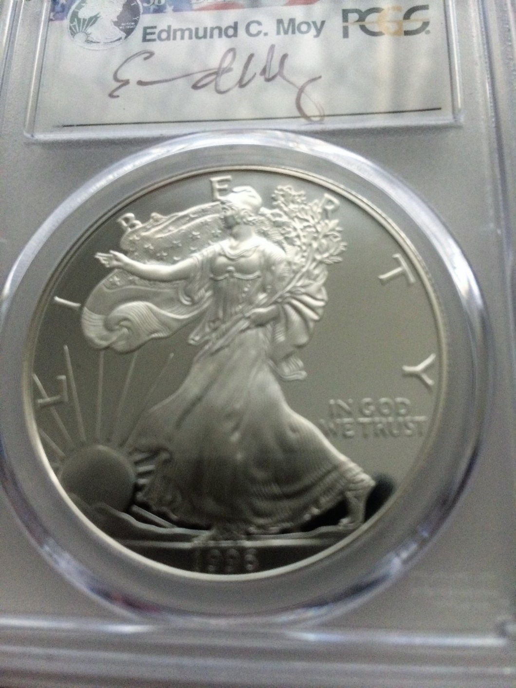 1996-P American Eagle PR70 PCGS