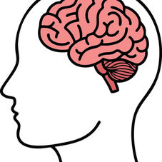 Is the Brain Health Supplement Neuriva Worth It?