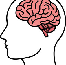 Is the Brain Health Supplement Neuriva Worth It?