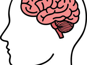 Is the Brain Health Supplement Neuriva Worth It?