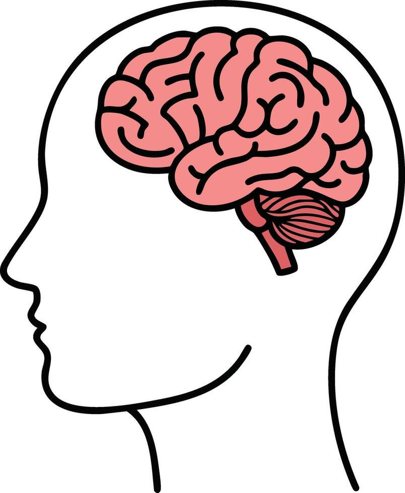 Is the Brain Health Supplement Neuriva Worth It?