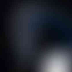 Portrait of a wet horse