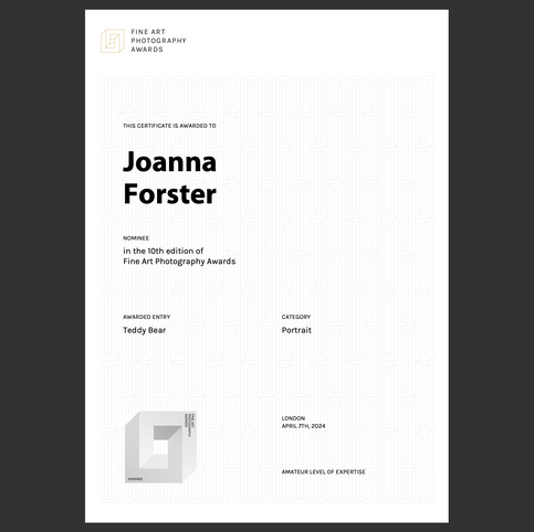portrait nominee award certificate