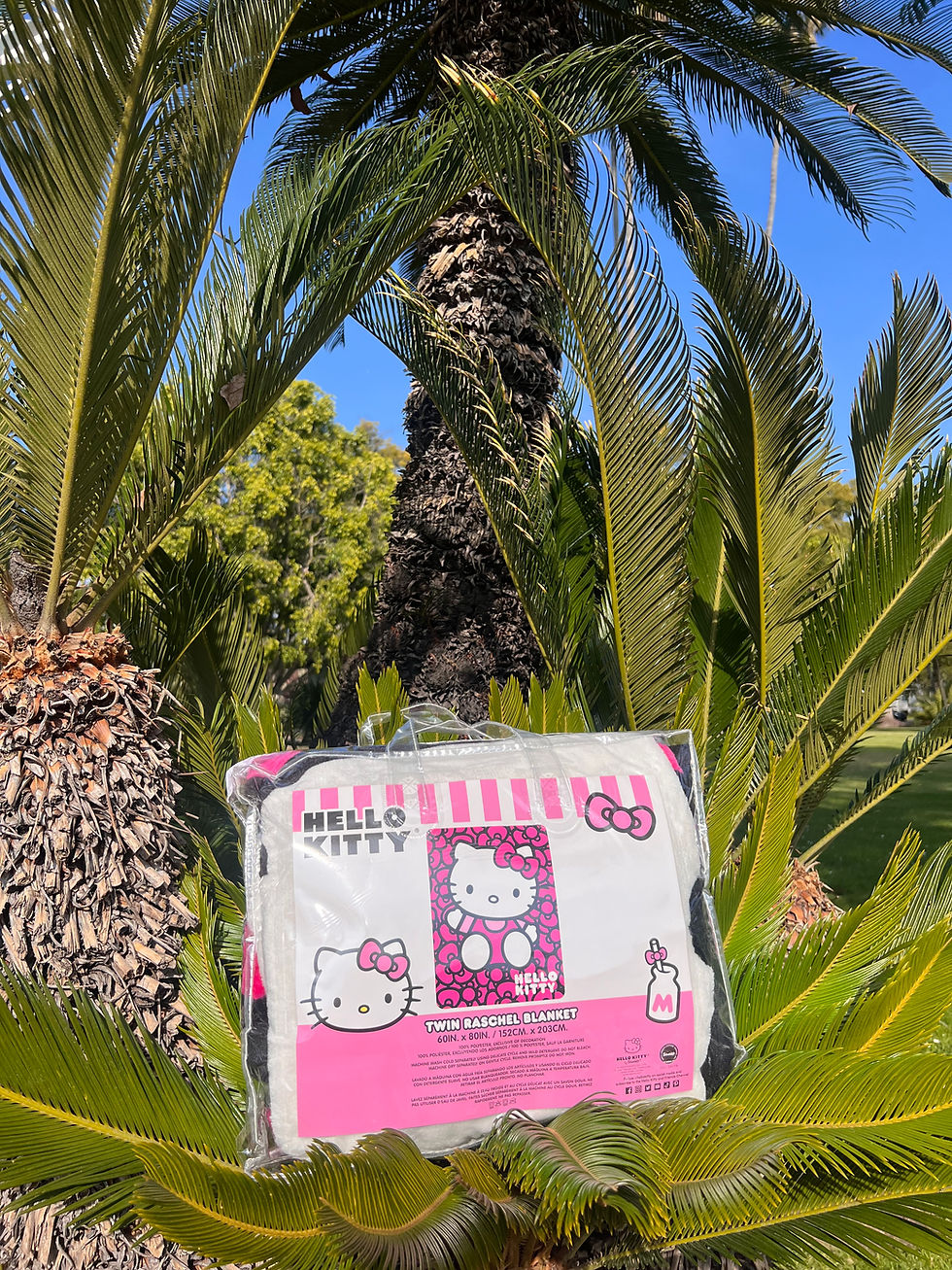 HELLO KITTY BLANKETS