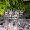 Thumbnail: Custom shot glasses