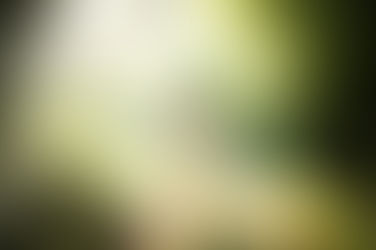 Cancer Free Since 2009 – Featured Healing Story