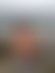 Cancer Free Since 2006 – Featured Healing Story