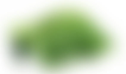 Breast Cancer Free Since 2000 – Featured Healing Story