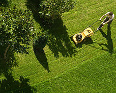 Man Mowing Lawn