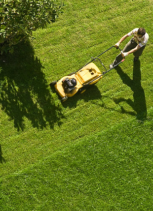 Man Mowing Lawn