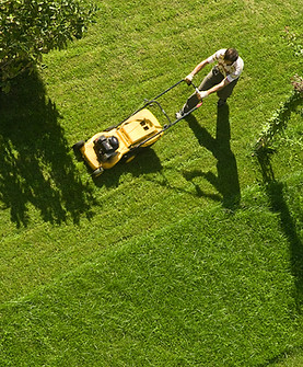 Man Mowing Lawn