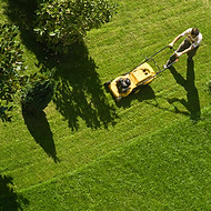 Man Mowing Lawn