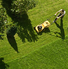 Lawn Mowing Activity
