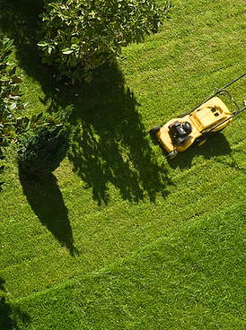 Man Mowing Lawn