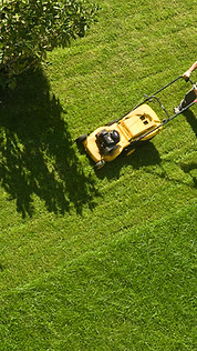 Activité de tonte de pelouse