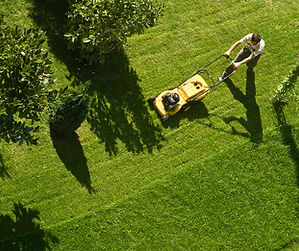 Lawn Mowing Activity