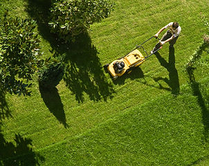 Man Mowing Lawn