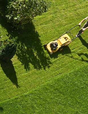 Man Mowing Lawn