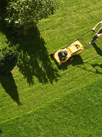 Man Mowing Lawn