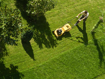 Man Mowing Lawn