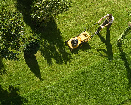 Man Mowing Lawn