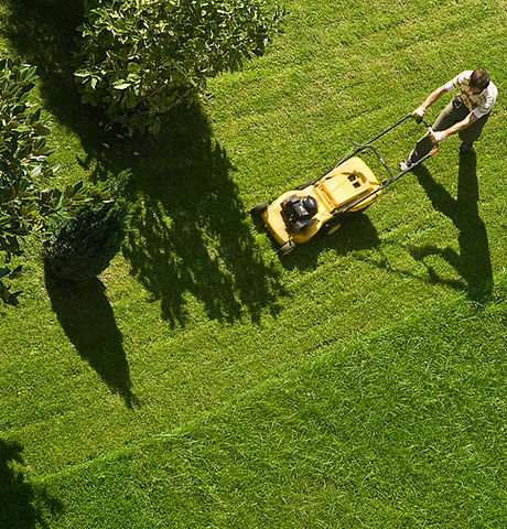 Man Mowing Lawn