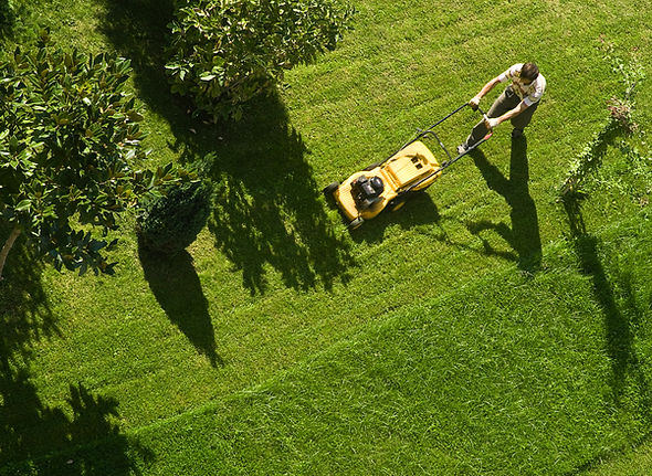 Lawn Mowing Activity