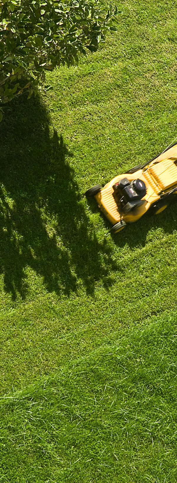 Man Mowing Lawn