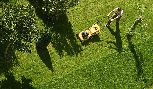 Man Mowing Lawn