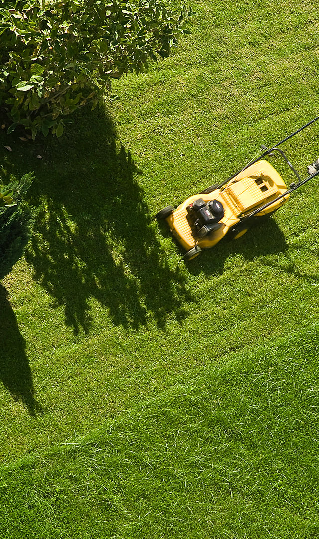 Man Mowing Lawn