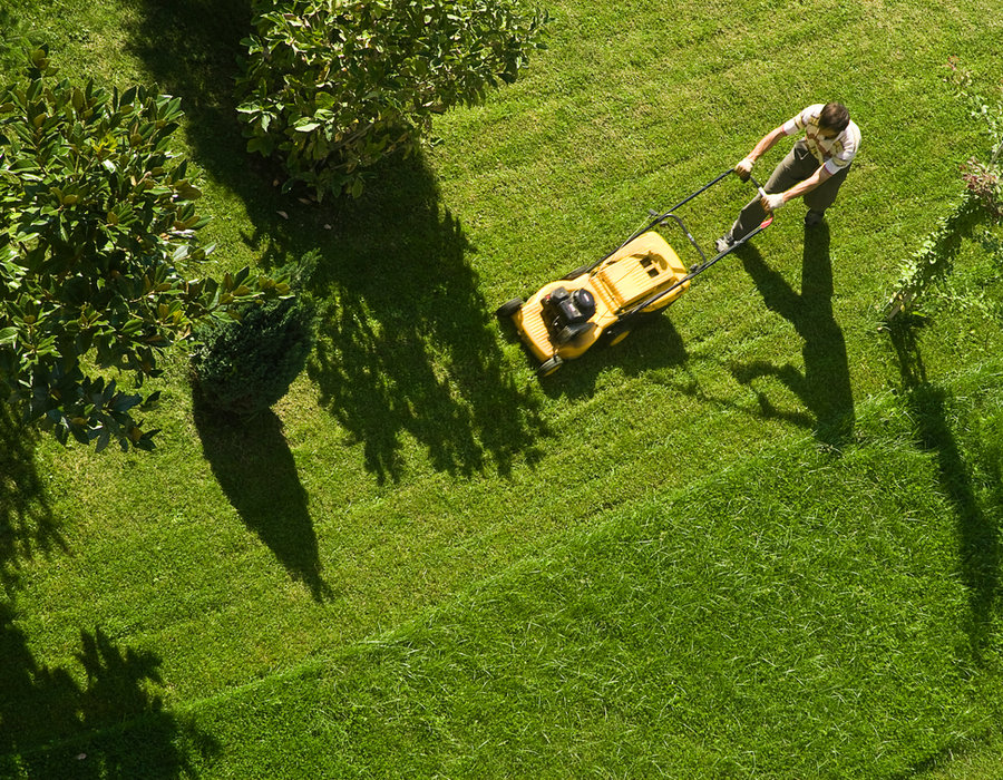 Gardening and lawn