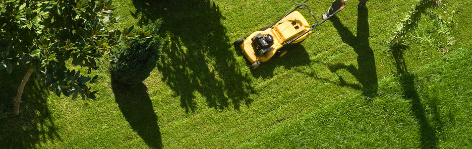 Man Mowing Lawn