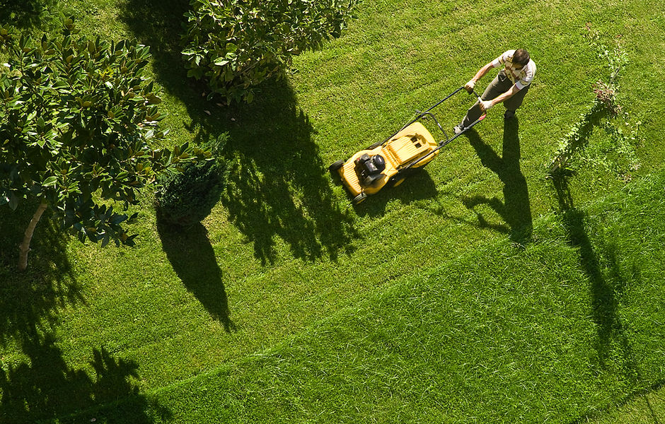 Man Mowing Lawn