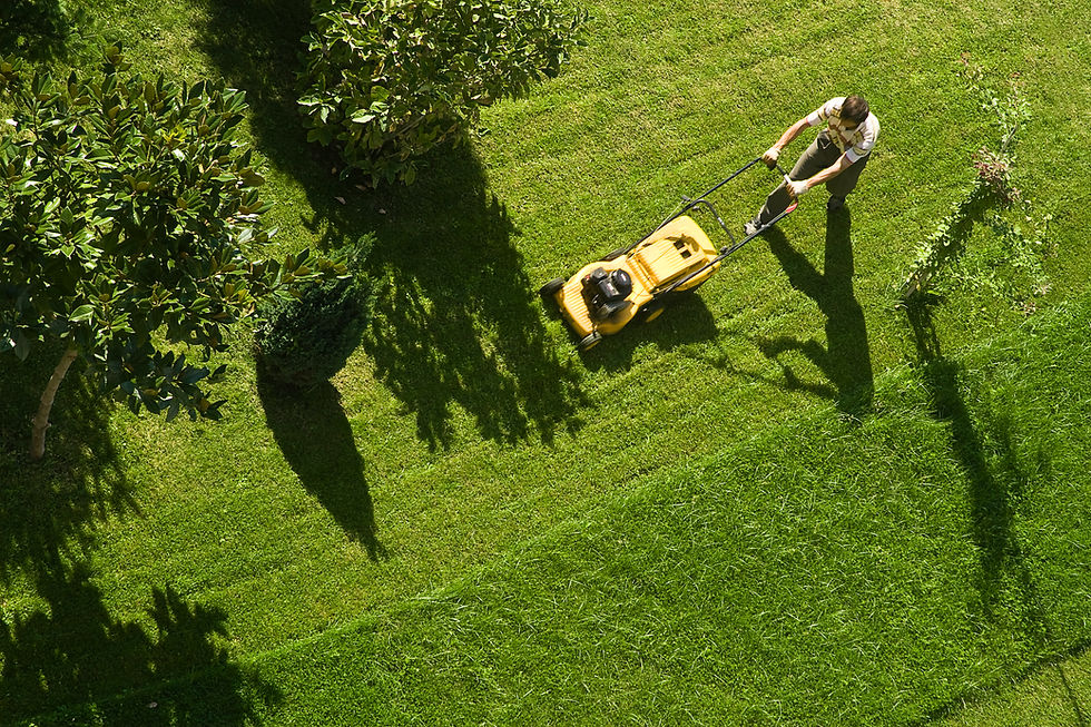 Man Mowing Lawn