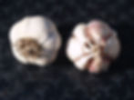 Thumbnail: Certified Organic Susan D Seed Garlic
