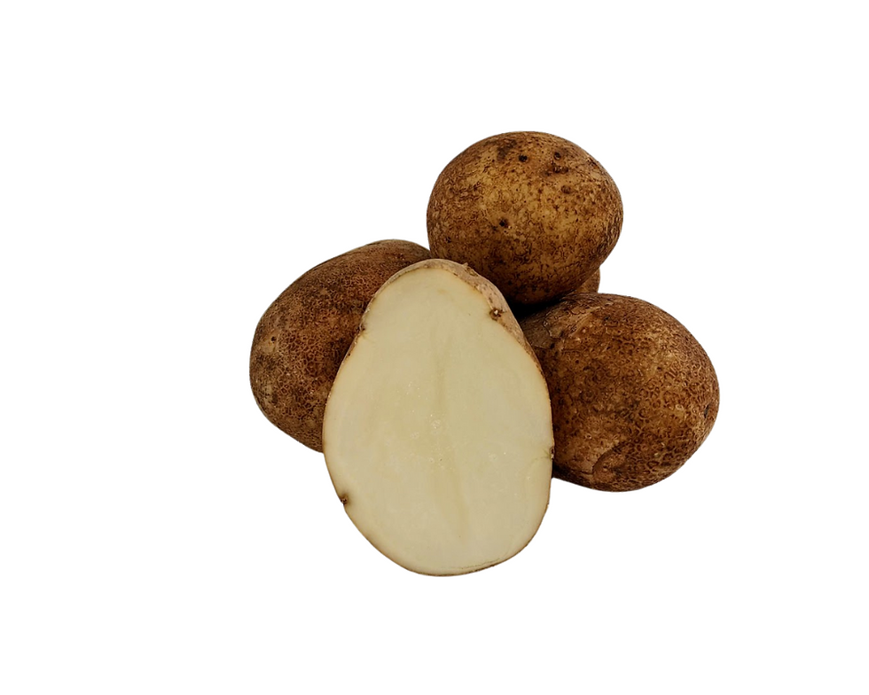 Certified Organic Gold Rush Russet Seed Potatoes