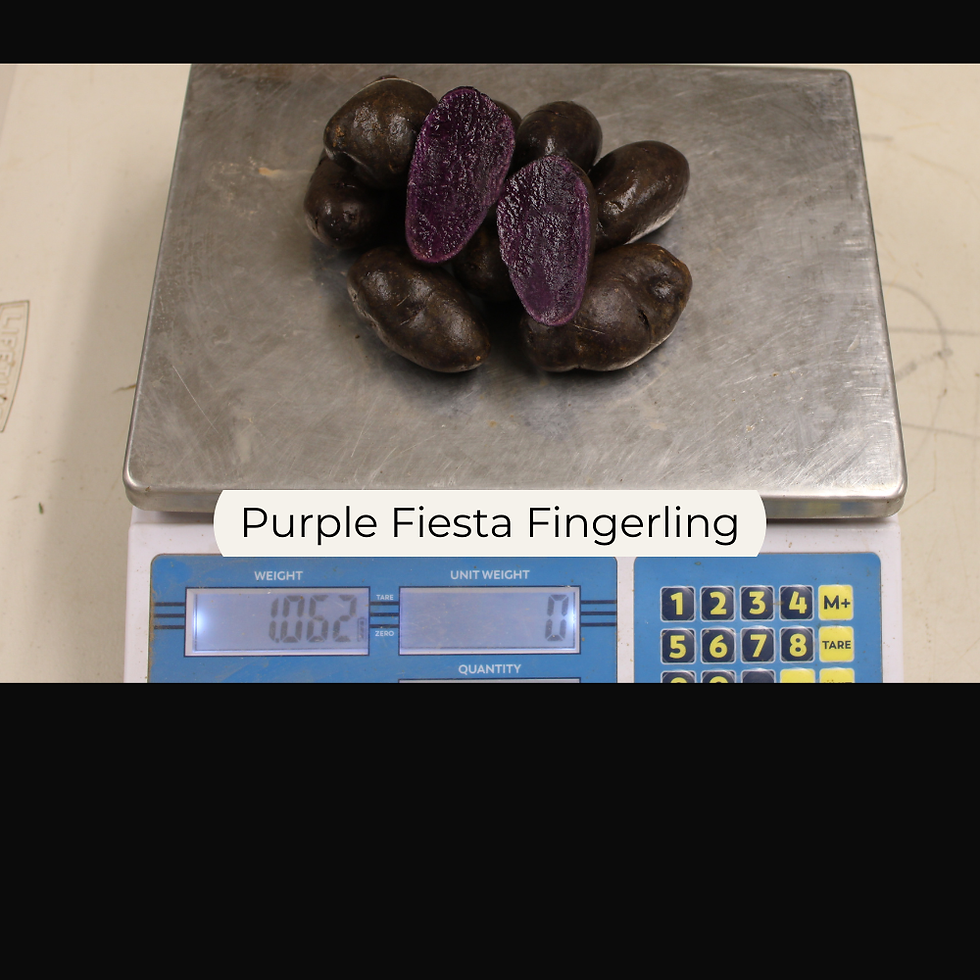 Thumbnail: Purple Fiesta (Purple Pelisse) Fingerling