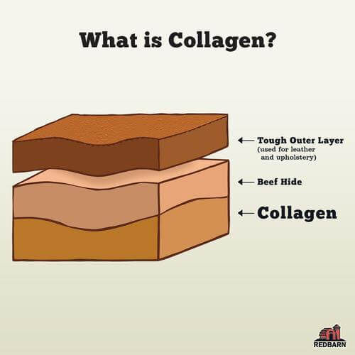 Thumbnail: Collagen Stick