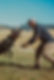 IMG_7154.jpeg
