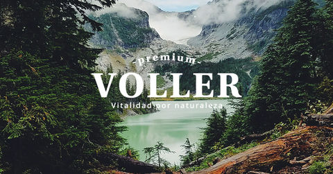 Campaña Voller